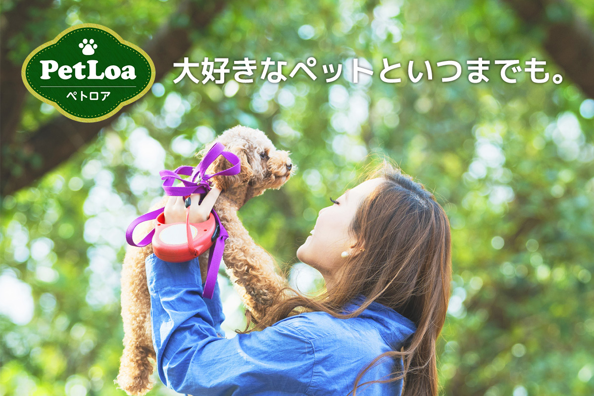 ペット訪問ケアサービスPetLoa（ペトロア）