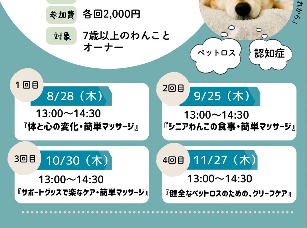 シニアクラス開催のお知らせ