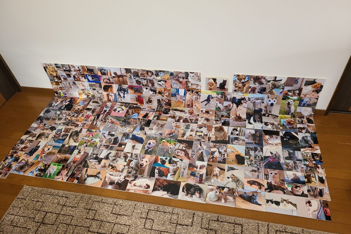 今年もご利用いただきありがとうございました