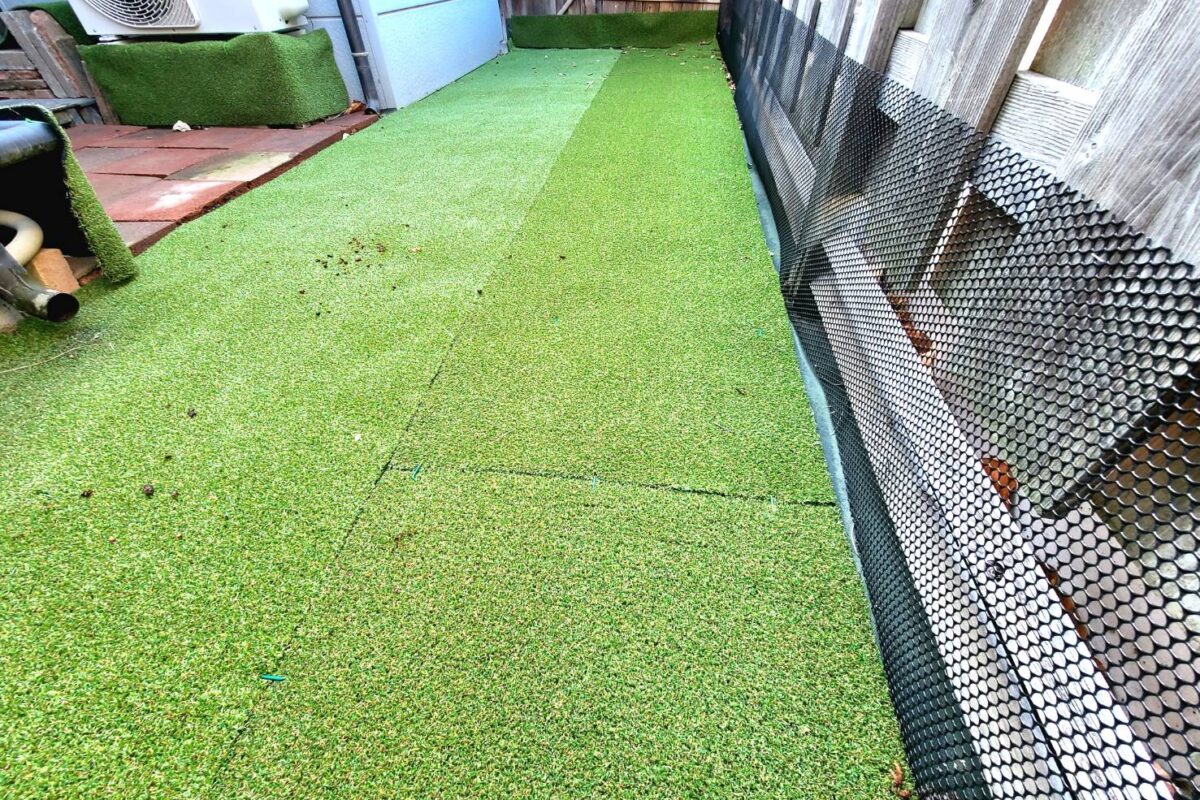 シニアわんこデイケアをオープンします《お庭の整備》