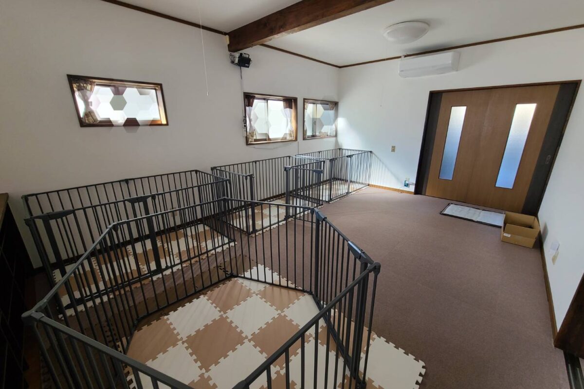 シニアわんこデイケアオープンします《お部屋整備》