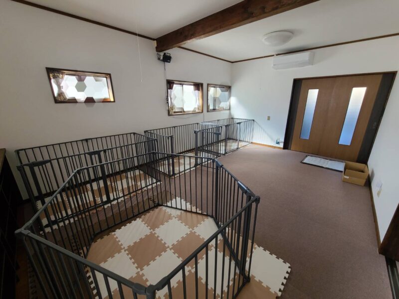 シニアわんこデイケアオープンします《お部屋整備》