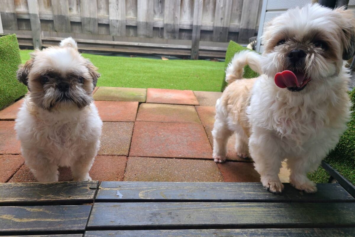 デイケアをご利用いただきました