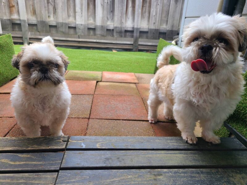 デイケアをご利用いただきました